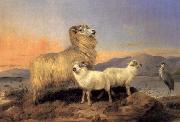 Richard ansdell,R.A. A Ewe with Lambs and A Heron Beside A Loch Germany oil painting artist
